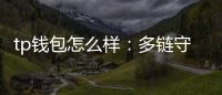 tp钱包怎么样:多链守护资产、简便操作的软文解读